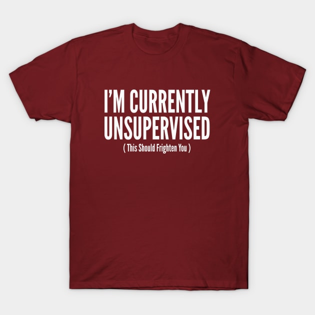 I Am Currently Unsupervised T-Shirt I Am Currently Unsupervised T-Shirt