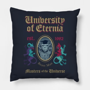 MSc in Universe Model 10 Pillow