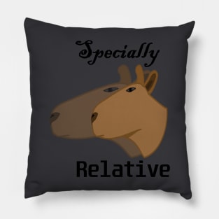 Special relativity Pillow