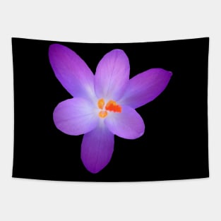 purple, crocus, violet, crocuses, spring flowers Tapestry