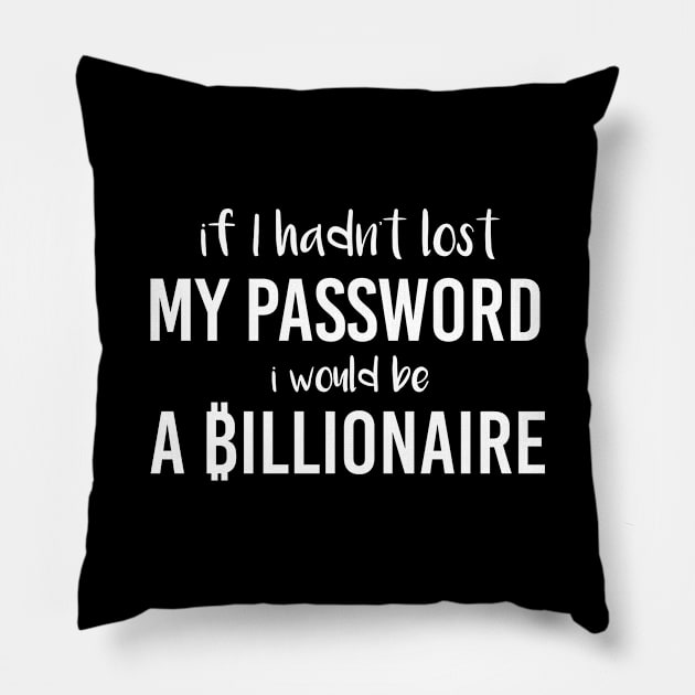 If i hadn't lost my passworld i would be a Billionaire Pillow by AtelierAmbulant