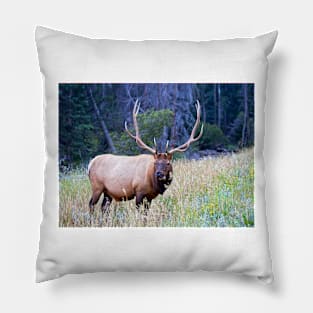 Bull Elk Pillow