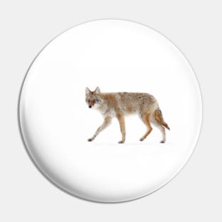 Coyote Pin