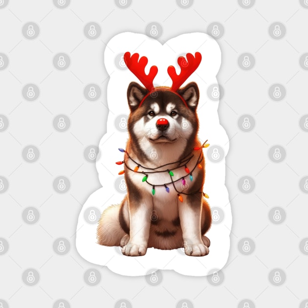 Christmas Red Nose Akita Dog Magnet by Chromatic Fusion Studio