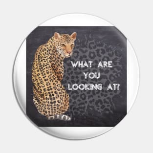 What are you looking at? Pin