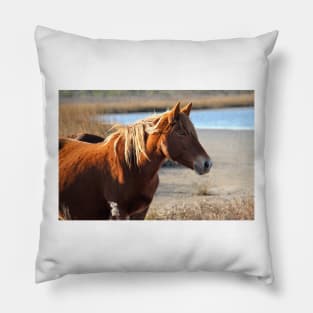 Assateague Beach Ponies - Series - 05 Pillow