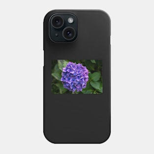 Hydrangea Flower Violet & Blue With Green Foliage Phone Case