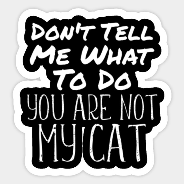 Cat Cats Pun Saying Funny Cat Lover Jokes Cat Sticker Teepublic