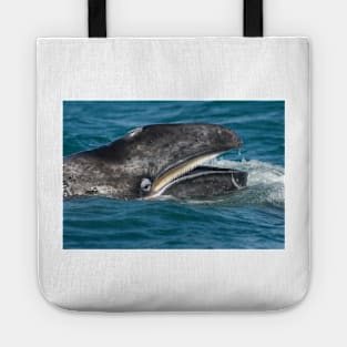 Grey whale (C007/3010) Tote