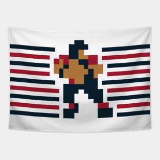 Tecmo QB Stripes - Houston Tapestry