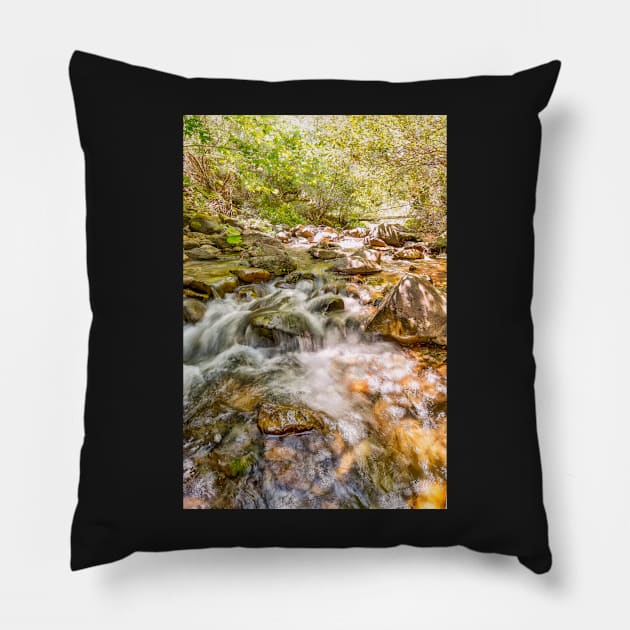 East Fork River Pillow by JeffreySchwartz