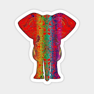 Rainbow Red Elephant on Black V.2 Magnet