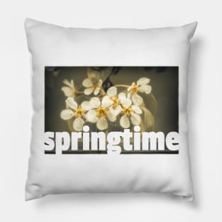 Springtime Pillow