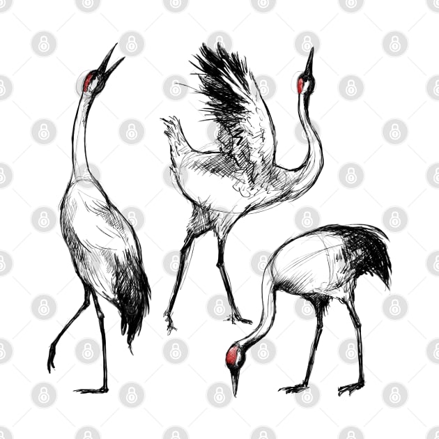 Sketches of a Japanese Cranebird by AniaArtNL