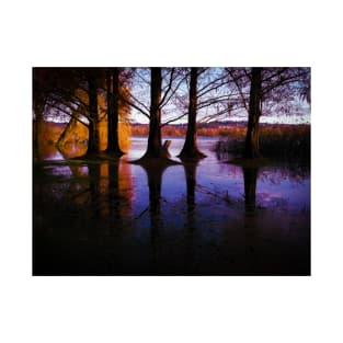 Autumn tree reflection in water landscape photography T-Shirt