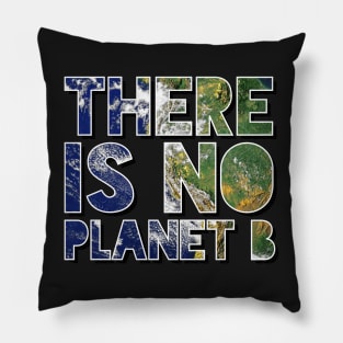 There Is No Planet B Pillow