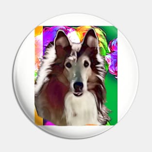 Jay-Boy, the wonderboy collie Pin