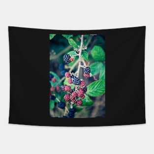 Ripening Blackberries Tapestry