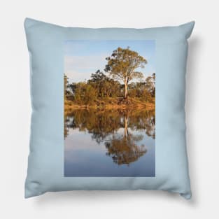 Late Afternoon Reflections on the River Murray Pillow