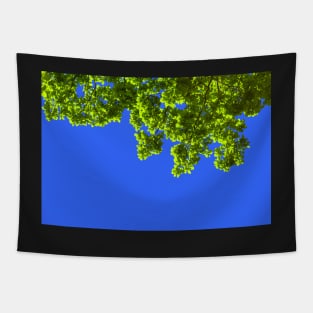 Green oak leafs and branches against blue background Tapestry