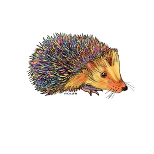 Rainbow Hedgehog-dark T-Shirt