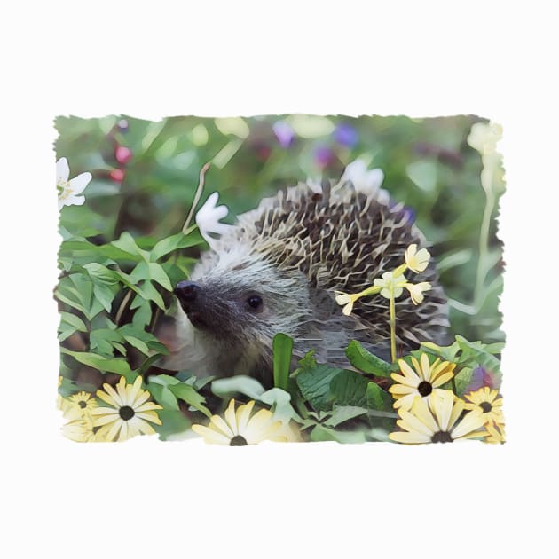 Hedgehog In Flowers by PhotoArts