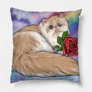 Magical Persian Kitty Pillow