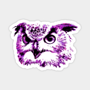 Owl design in purple Magnet