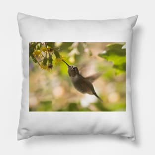 Hummingbird of Mexico Pillow