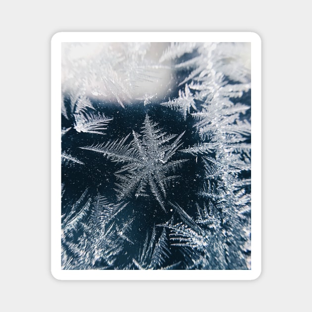 Snowflakes Frosted Glass Winter Magnet by Haministic Harmony