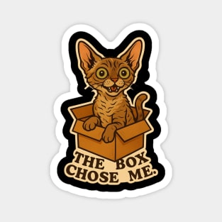 My Cat Likes to Sit in Boxes - Devon Rex Magnet