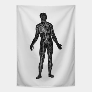 Lymphatic and Circulatory System - Vintage Anatomy Tapestry