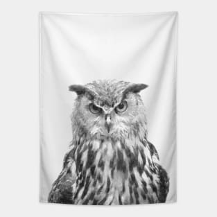 Black and White Owl Tapestry