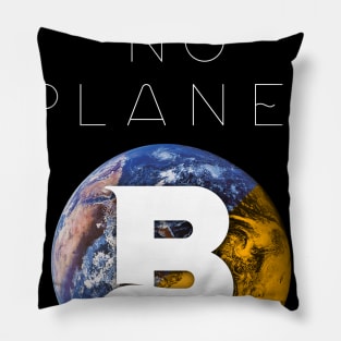 PLANET B 53 Pillow