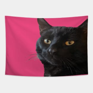 Black Cat With A Funny Quirky Expression Cut Out Tapestry