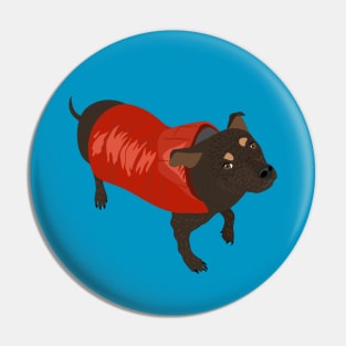 Brown Dog in a Red Puffer Jacket Pin