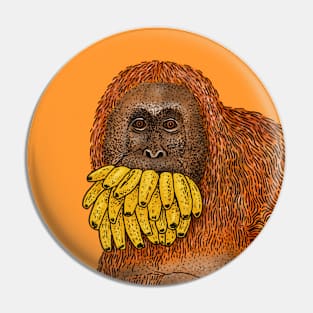 Happy to share... one Orangutan Pin