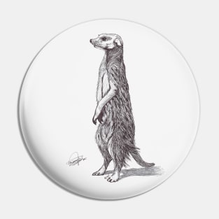 Suricata. Meerkat Pin