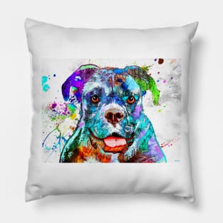 Boxer Pillow