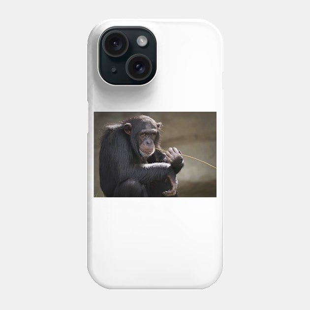 Chimpanzee Phone Case by kawaii_shop