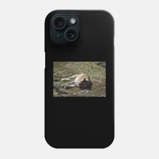 Lioness Phone Case