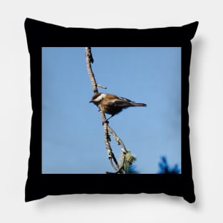 Chestnut-backed Chickadee Pillow