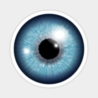 Blue Iris Eyeball Magnet