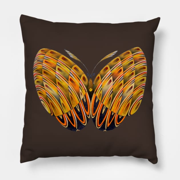 Butterfly Pillow by federicocortese