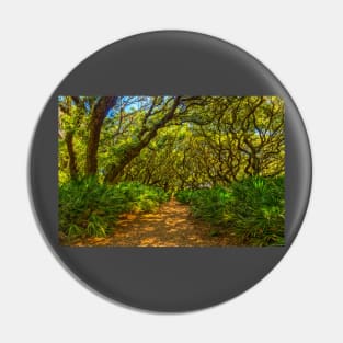 Cumberland Island National Seashore Pin