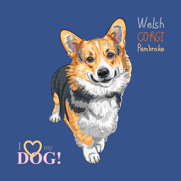 Вog Pembroke Welsh corgi by kavalenkava