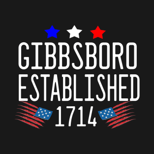 Gibbsboro Pride USA Flag T-Shirt