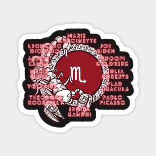 A Scorpio Zodiac Sign Test Magnet