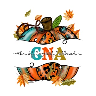 Autumn Fall Outfit CNA Thankful Grateful Blessed Pumpkin Shirt T-Shirt