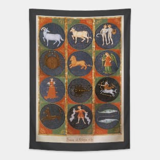 Vintage Celestial Astrological Zodiac Chart Tapestry